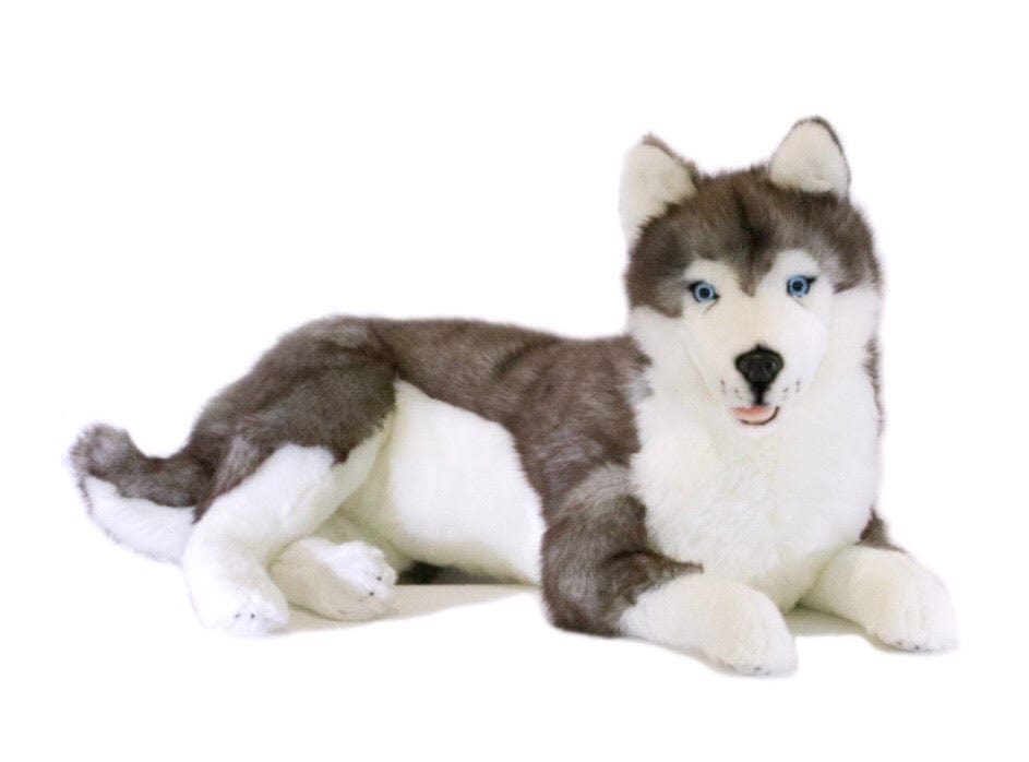 Weighted Lying Husky 60cm