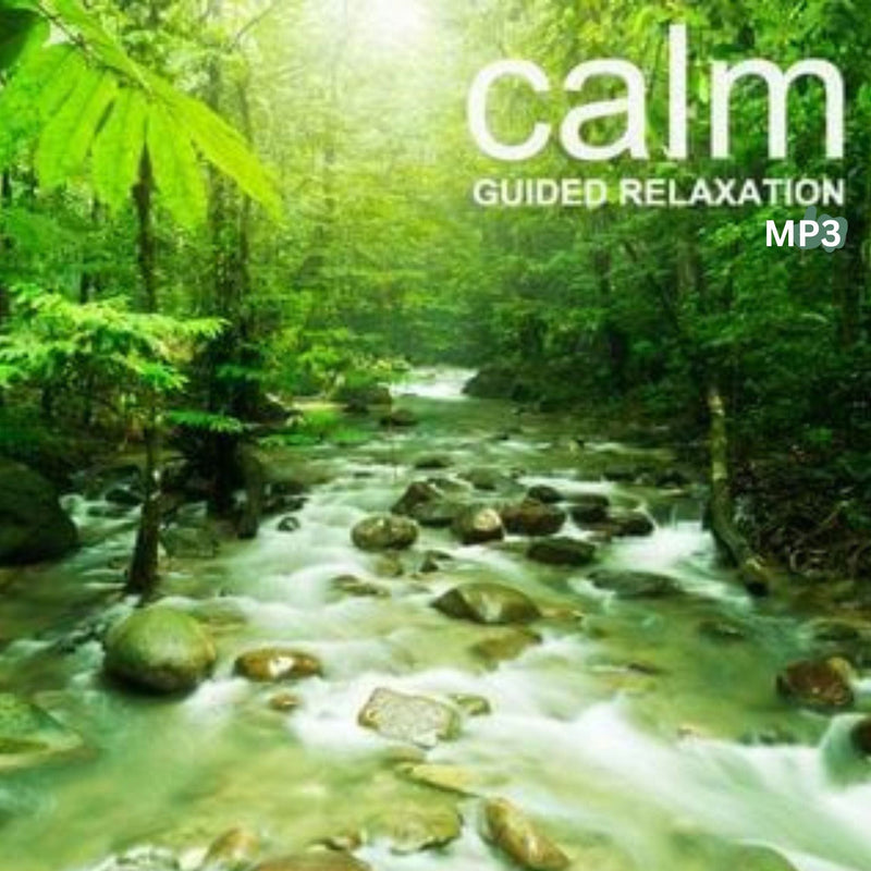 Calm Guided Relaxation MP3 vendor-unknown