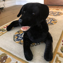 Weighted Dog (Black Labrador 4kg) - Sensory Corner