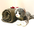 Weighted Cat & Blanket Buddy Set - Sensory Corner